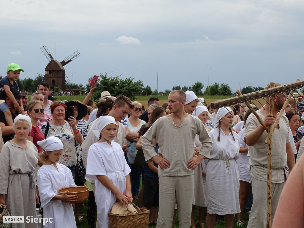 Żniwa w skansenie