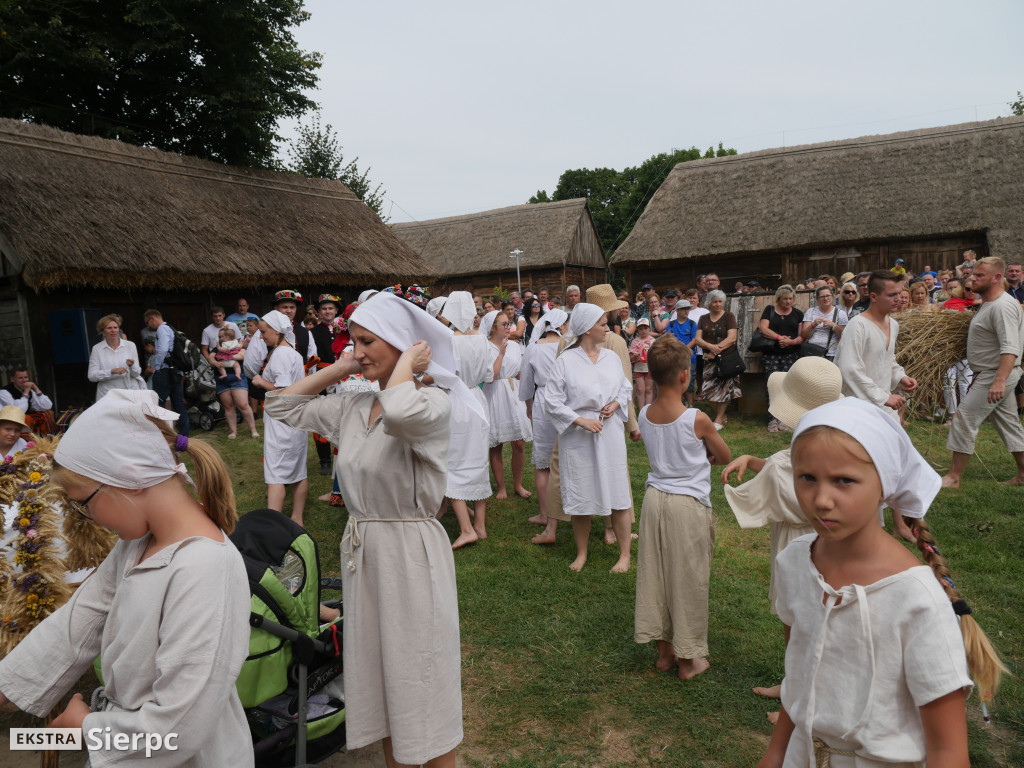 Żniwa w skansenie