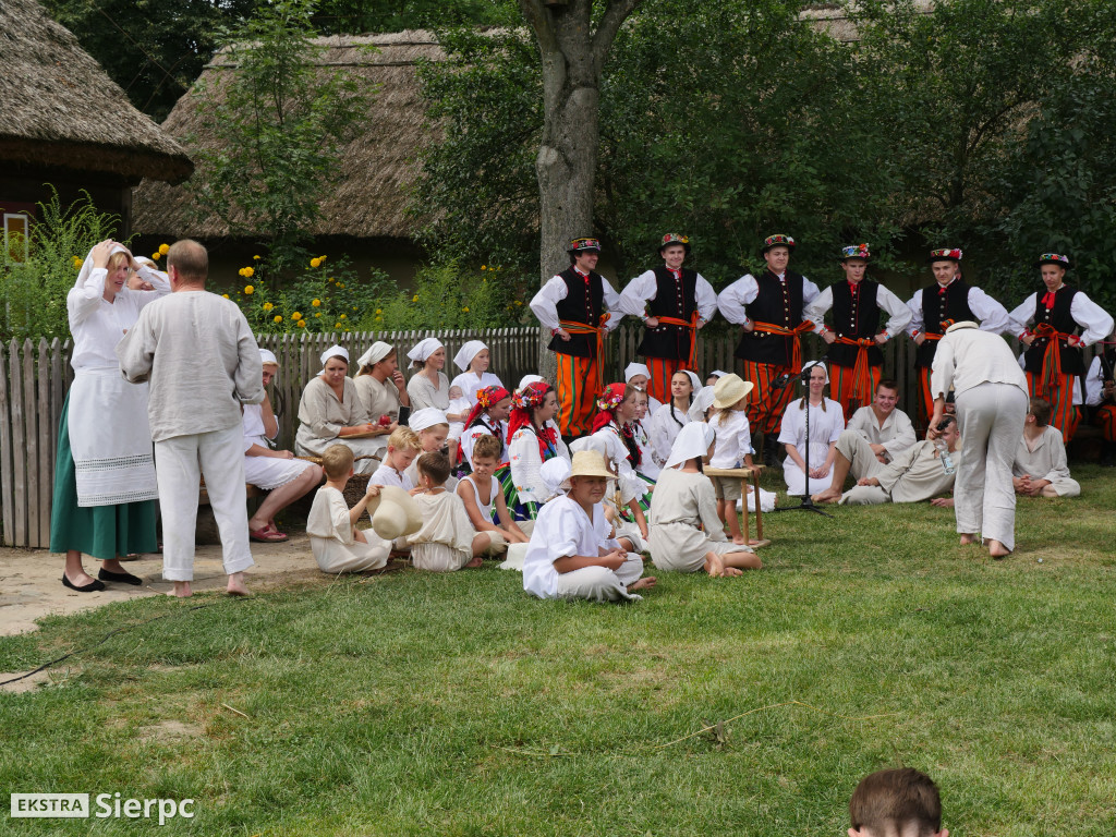 Żniwa w skansenie