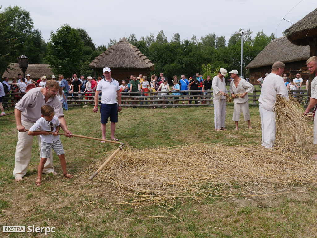 Żniwa w skansenie