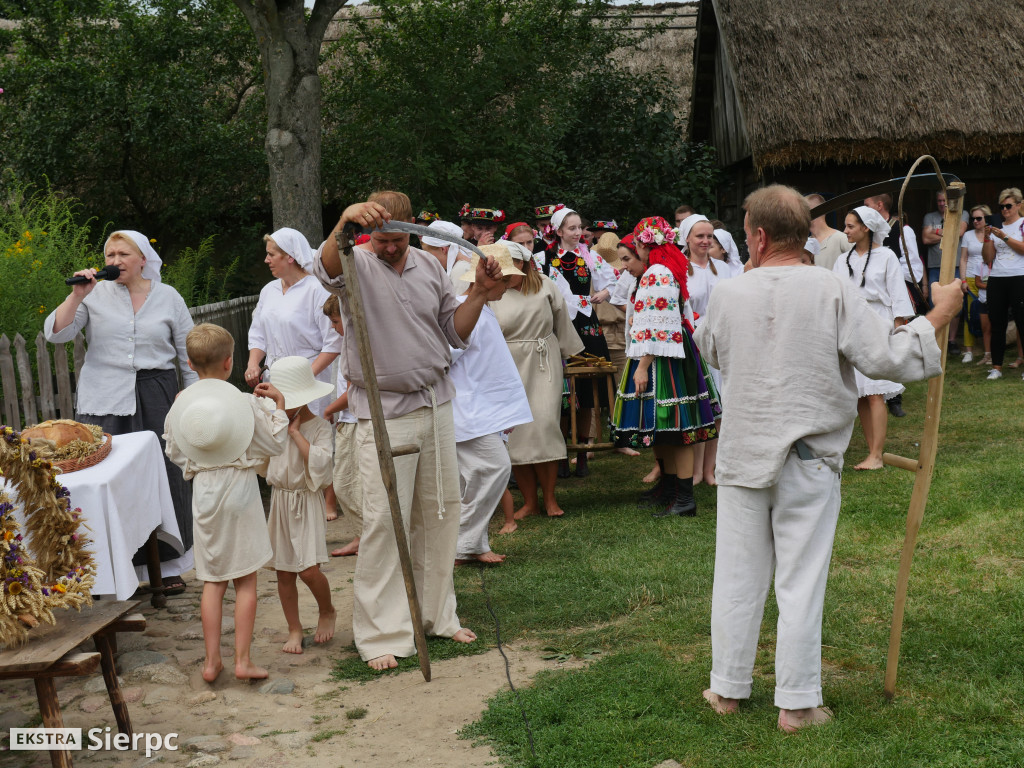 Żniwa w skansenie