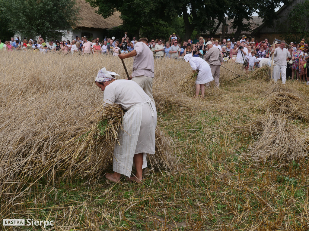 Żniwa w skansenie