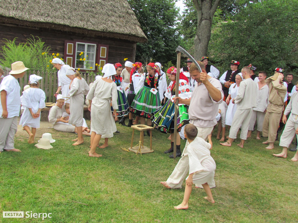 Żniwa w skansenie
