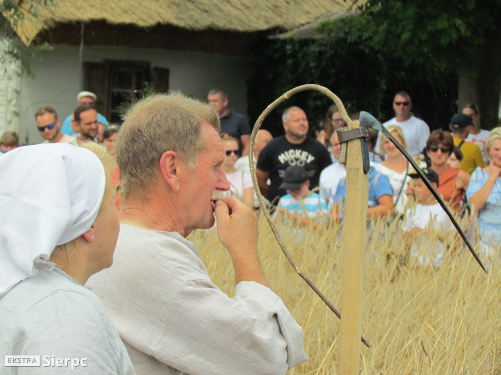 Żniwa w skansenie