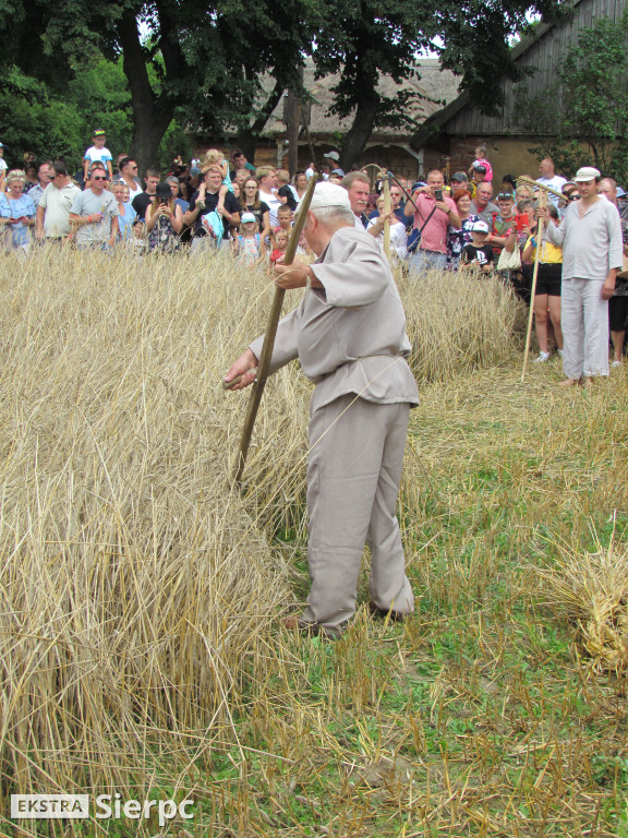 Żniwa w skansenie