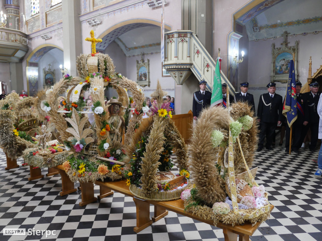 Dożynki w Gozdowie i jubileusz ks. S. Opolskiego