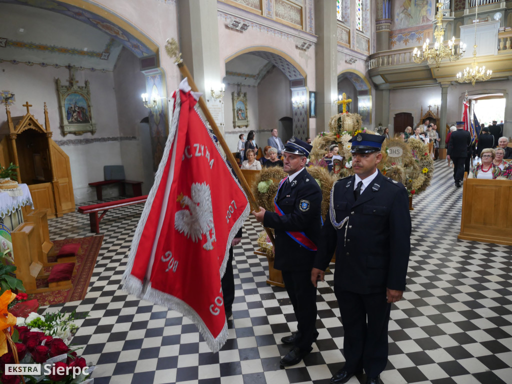 Dożynki w Gozdowie i jubileusz ks. S. Opolskiego