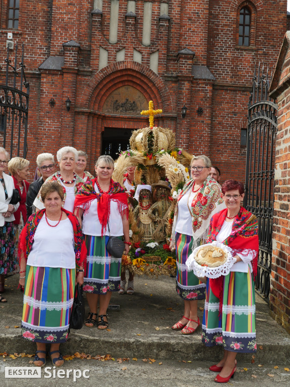 Dożynki w Gozdowie i jubileusz ks. S. Opolskiego