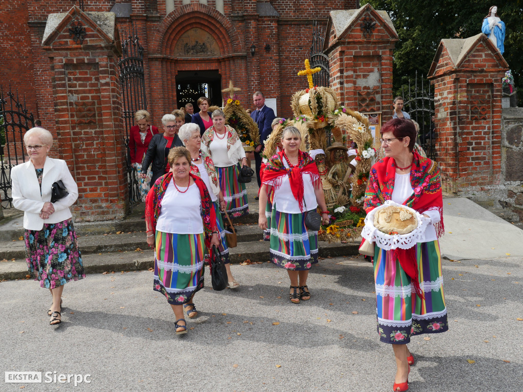 Dożynki w Gozdowie i jubileusz ks. S. Opolskiego