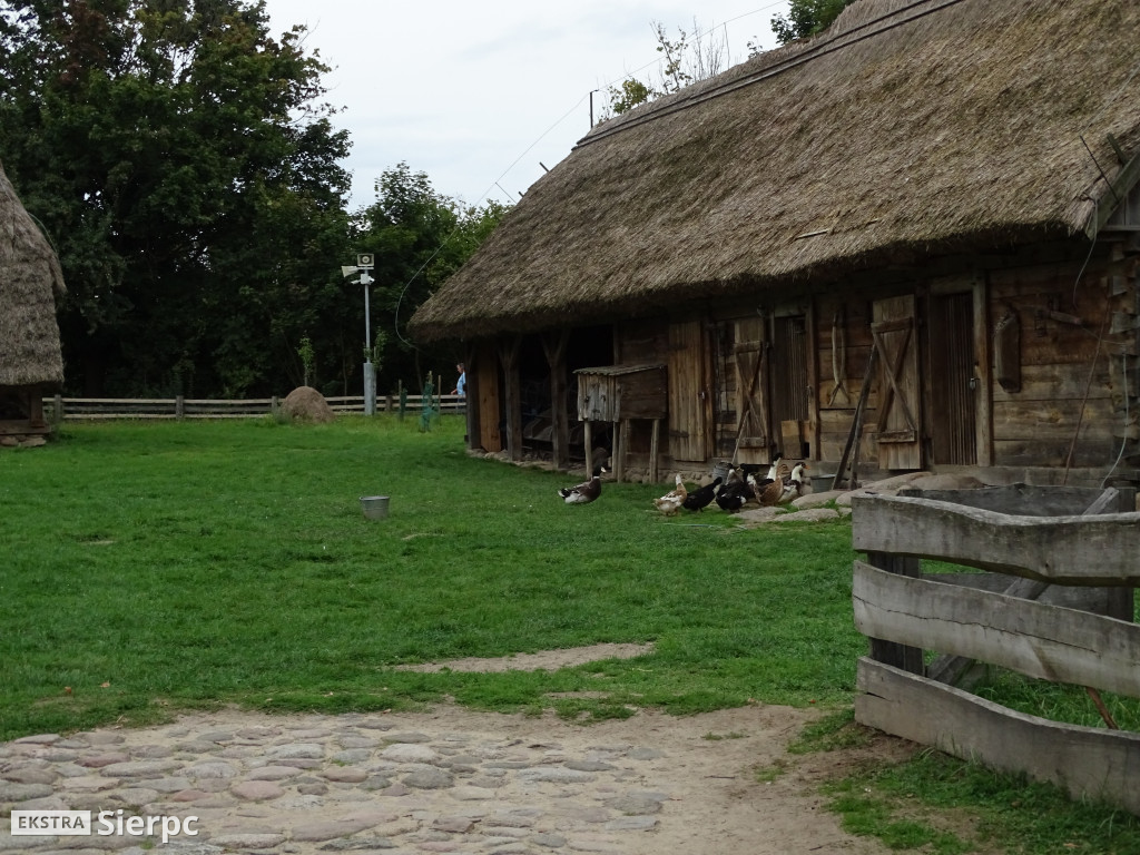 Mazowiecki Dzień Osób z Niepełnosprawnościami w skansenie
