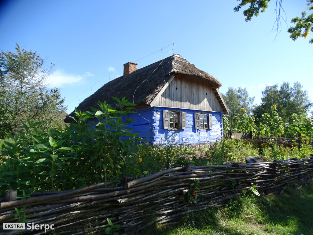 Wykopki w skansenie