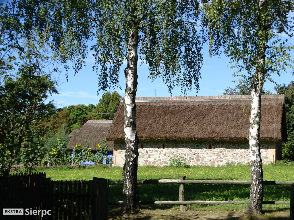 Wykopki w skansenie