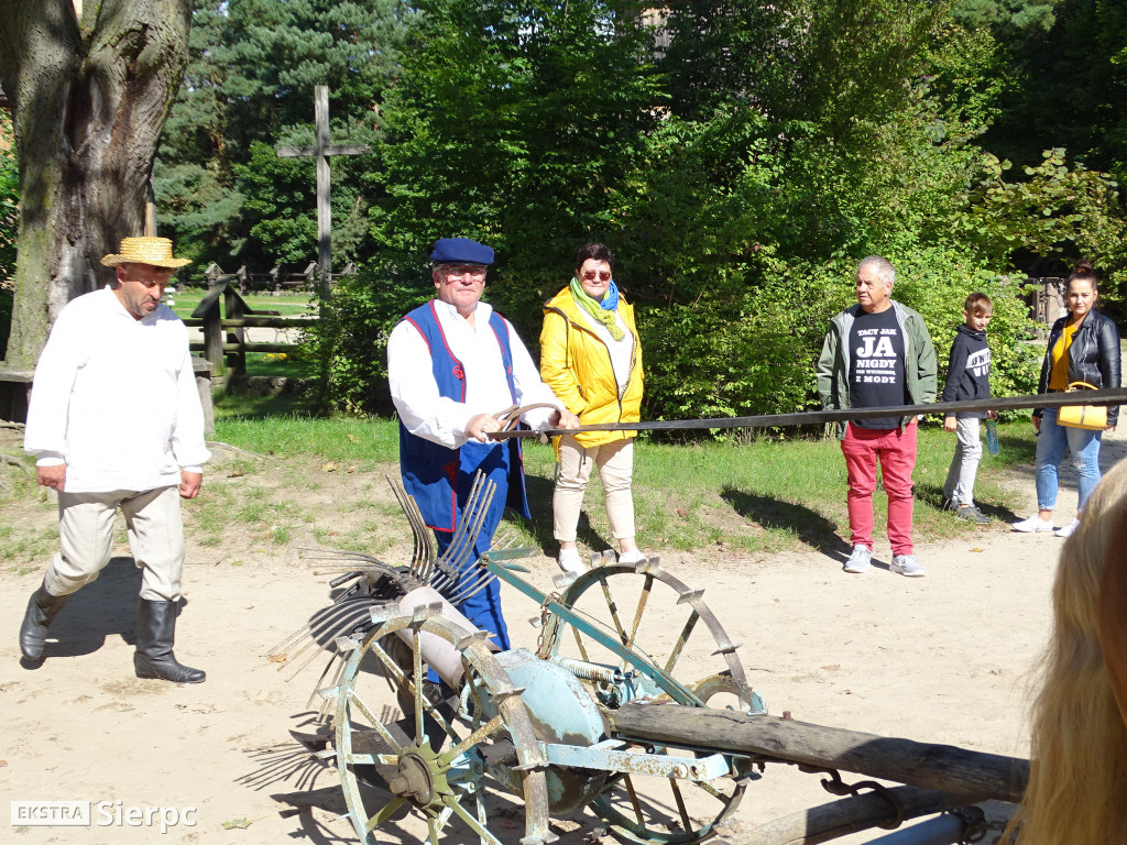 Wykopki w skansenie