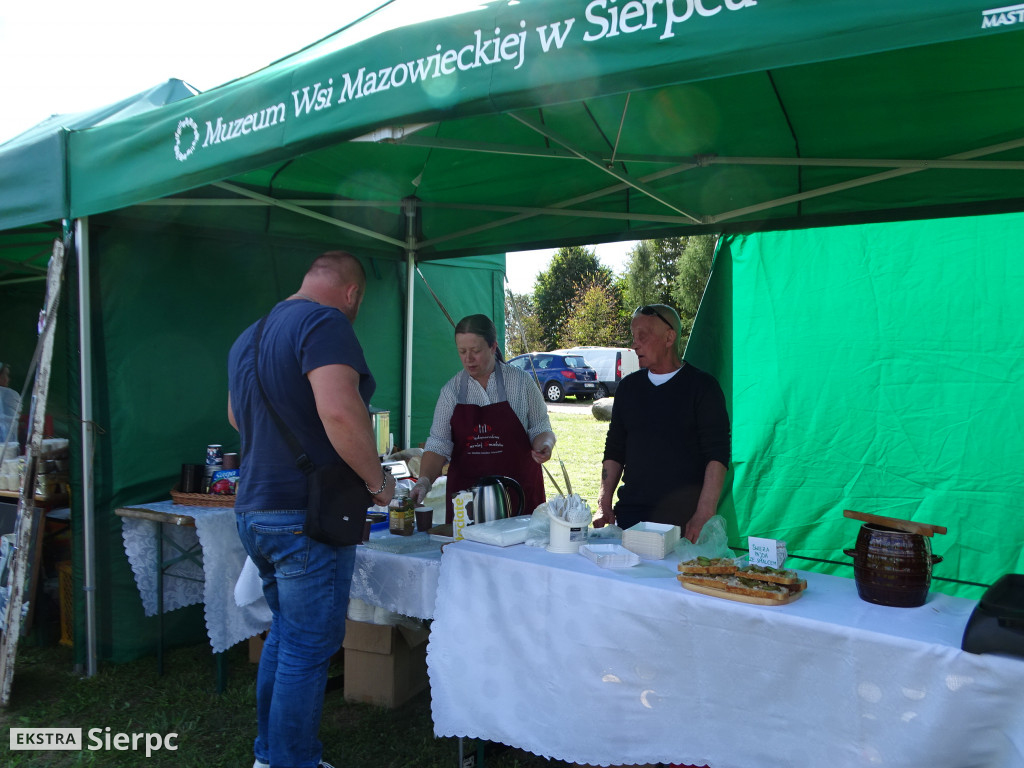 Wykopki w skansenie