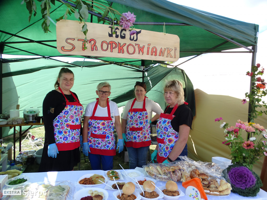 Wykopki w skansenie