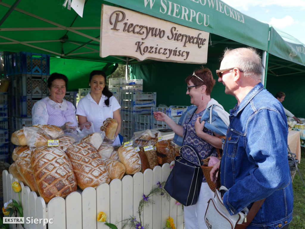 Wykopki w skansenie