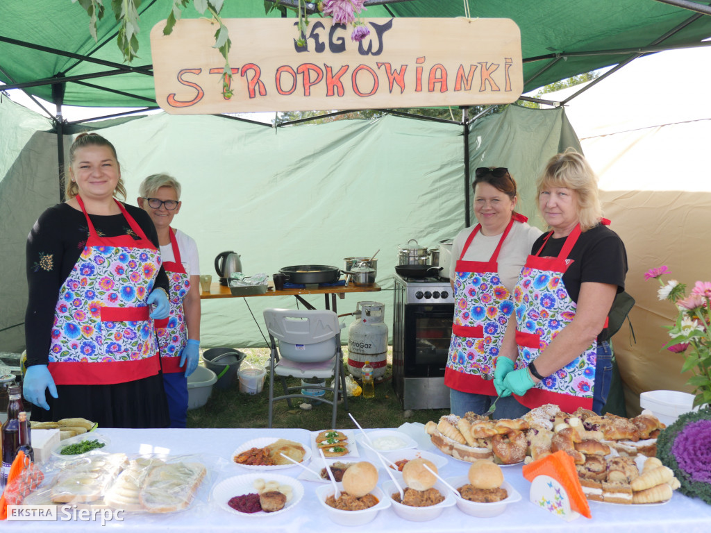 Wykopki w skansenie