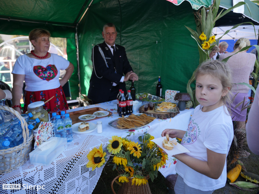 Dożynki w Zawidzu