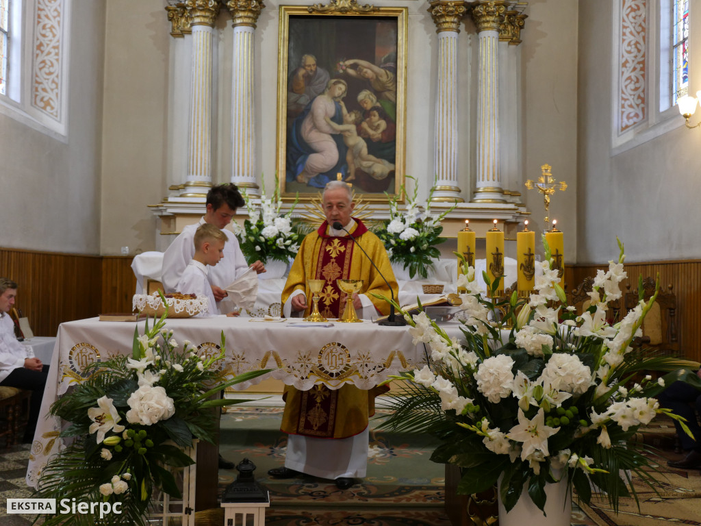 Gminne dożynki w Rościszewie