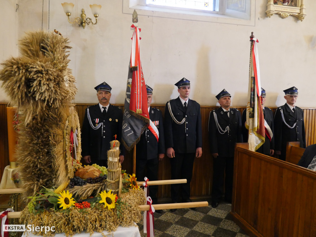 Gminne dożynki w Rościszewie