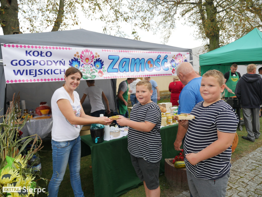 Gminne dożynki w Rościszewie