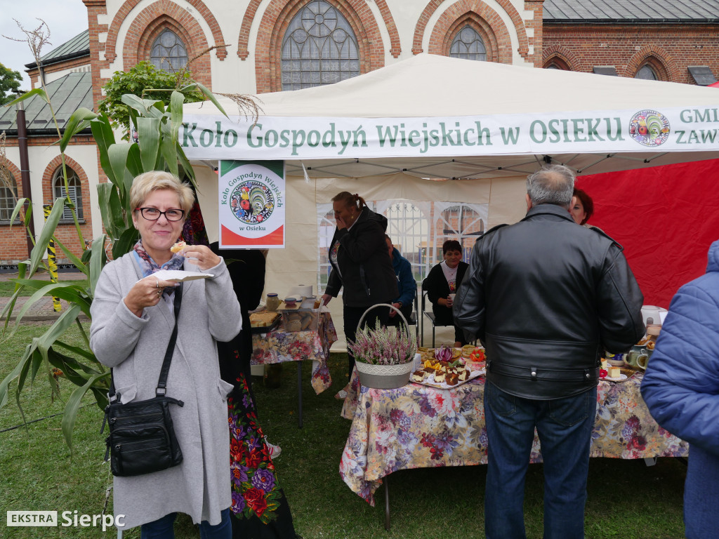 Piknik patriotyczny w Sierpcu