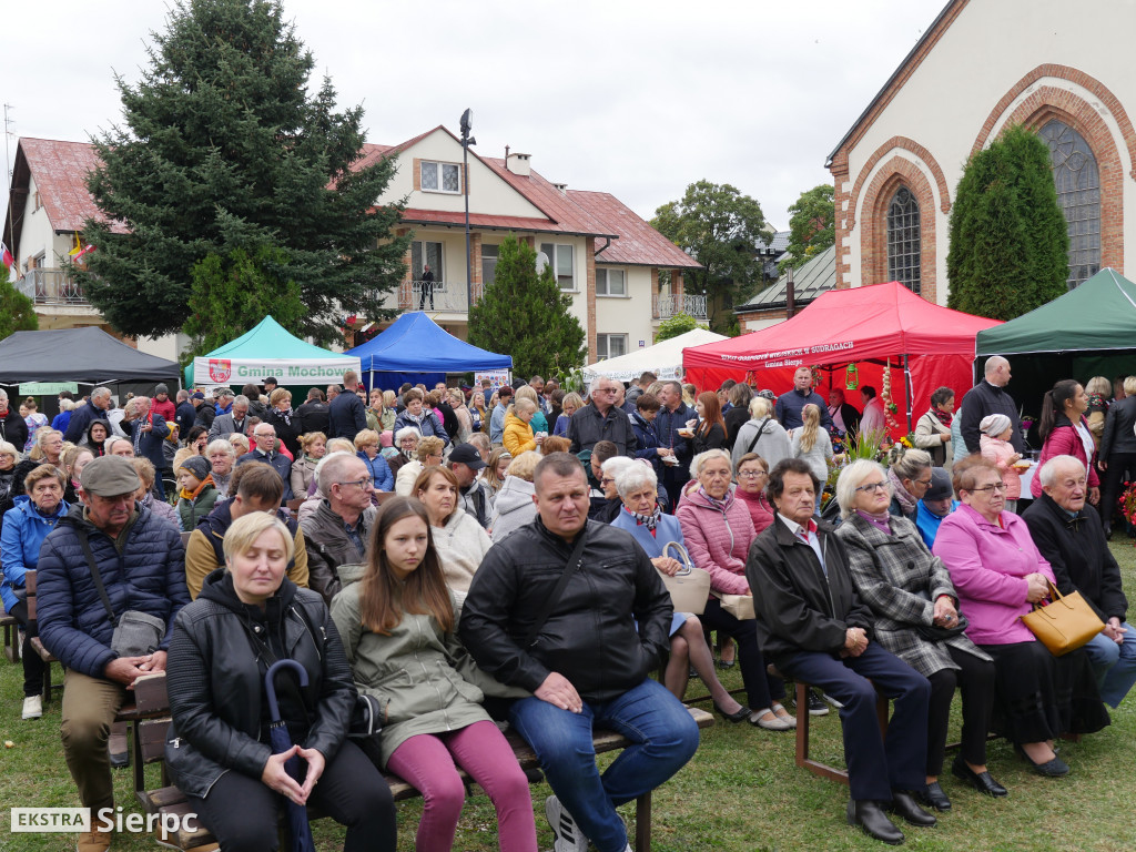 Piknik patriotyczny w Sierpcu