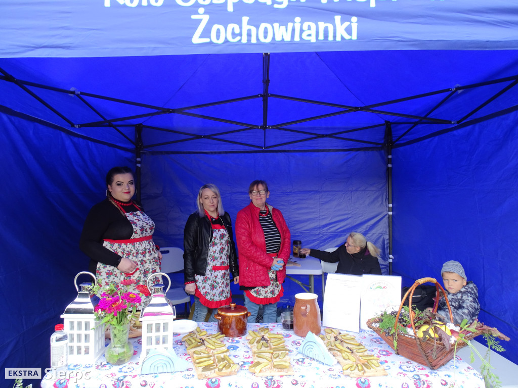 Piknik patriotyczny w Sierpcu