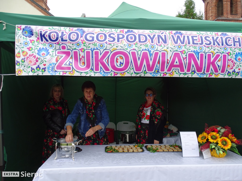 Piknik patriotyczny w Sierpcu