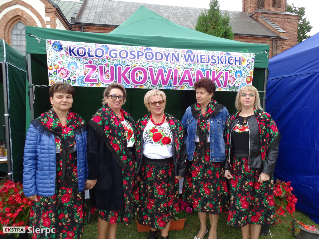 Piknik patriotyczny w Sierpcu