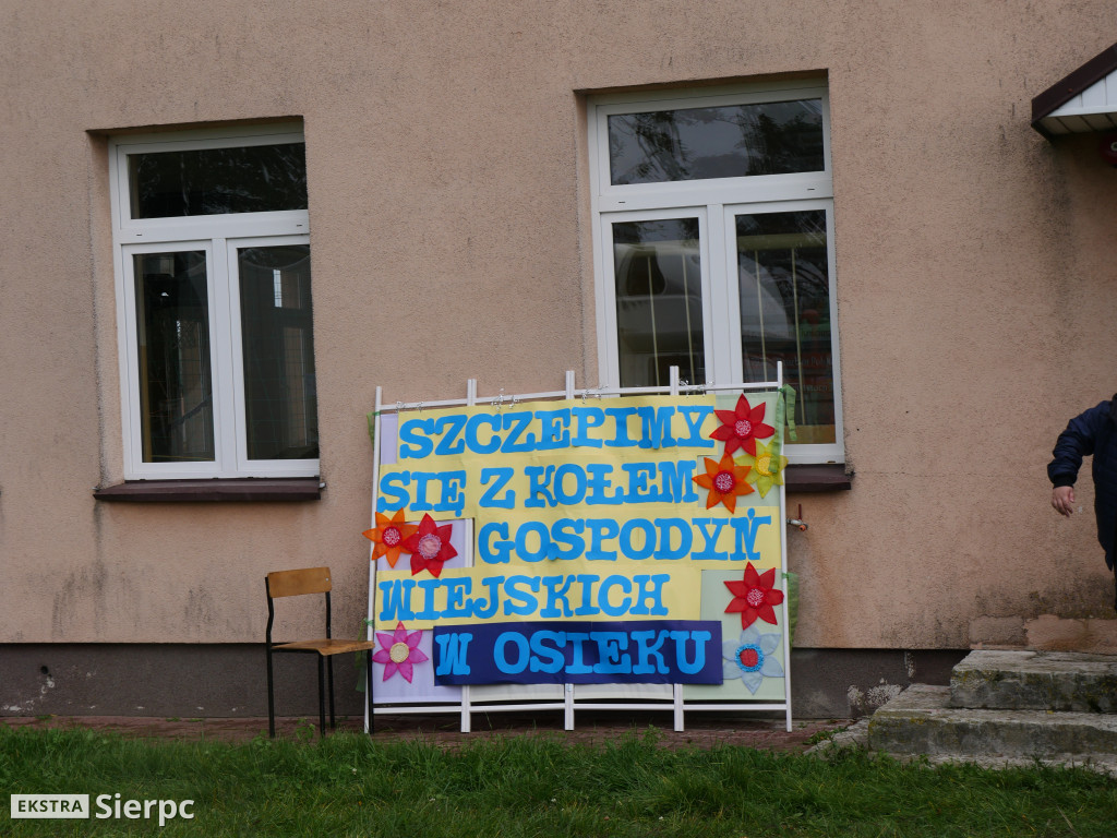 Festyn w Osieku