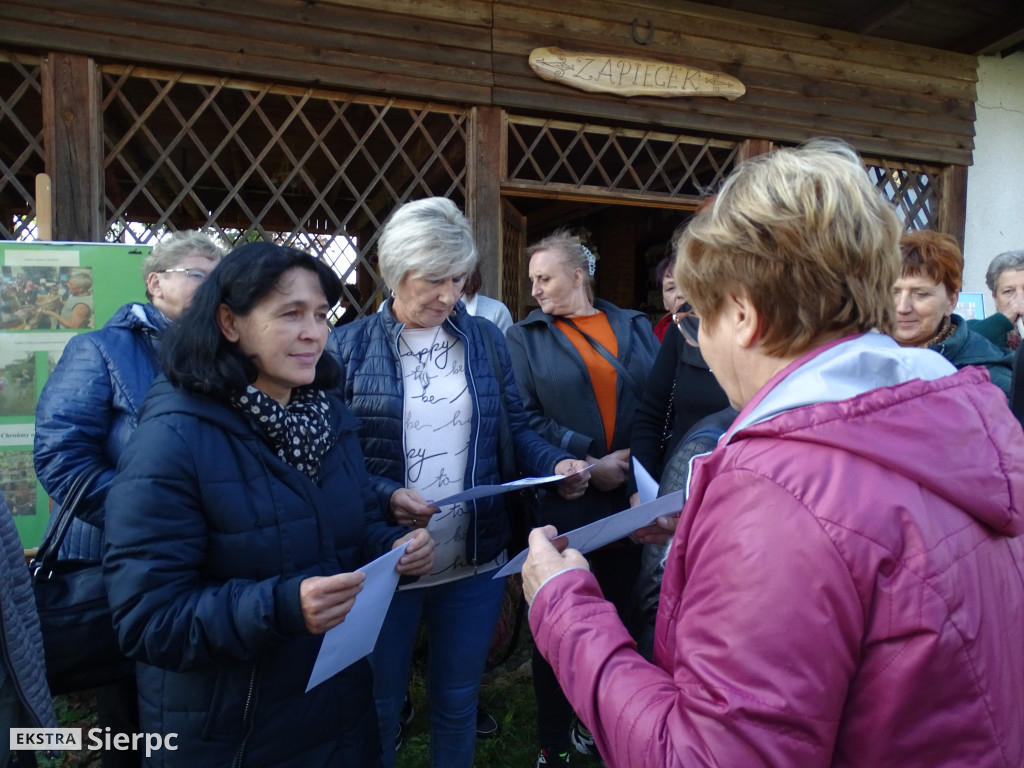 Podsumowanie projektu Aktywni i Samodzielni