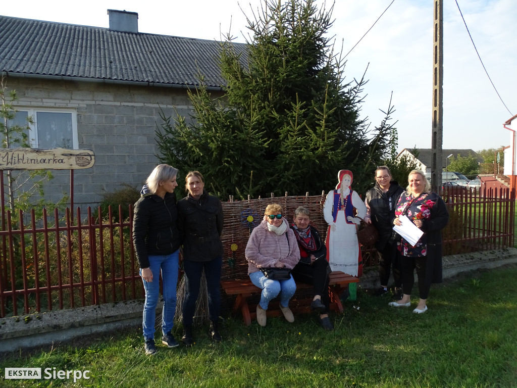 Podsumowanie projektu Aktywni i Samodzielni