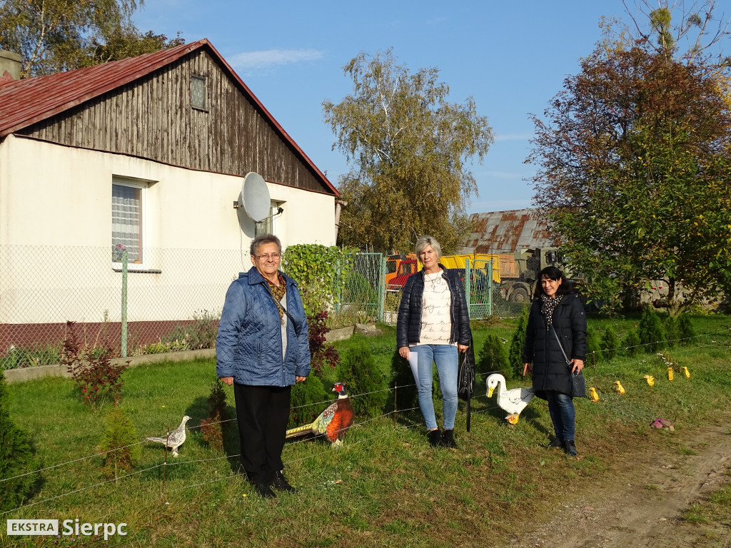 Podsumowanie projektu Aktywni i Samodzielni