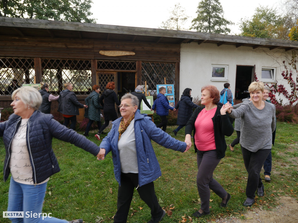 Podsumowanie projektu Aktywni i Samodzielni
