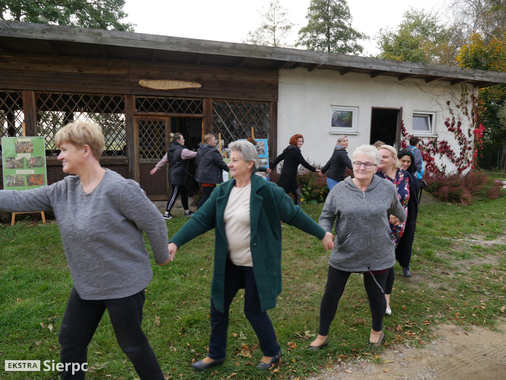 Podsumowanie projektu Aktywni i Samodzielni