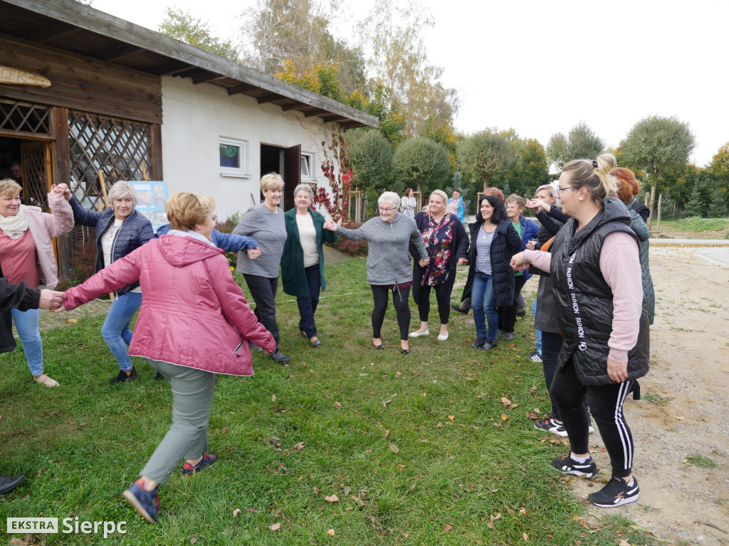 Podsumowanie projektu Aktywni i Samodzielni