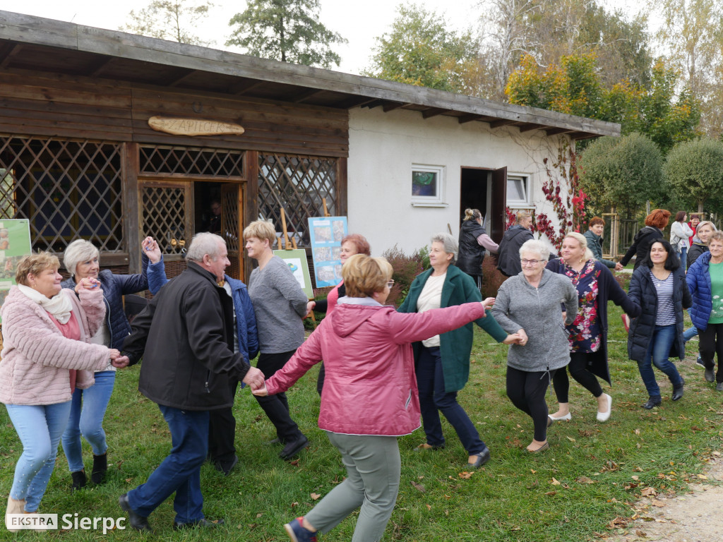 Podsumowanie projektu Aktywni i Samodzielni