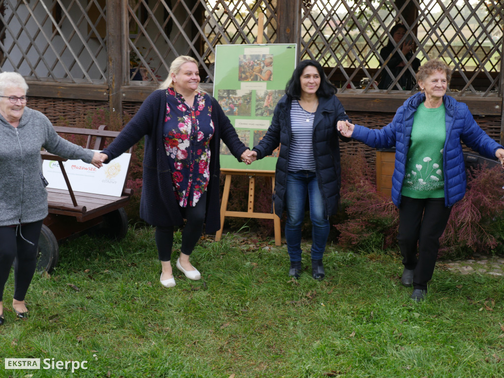 Podsumowanie projektu Aktywni i Samodzielni