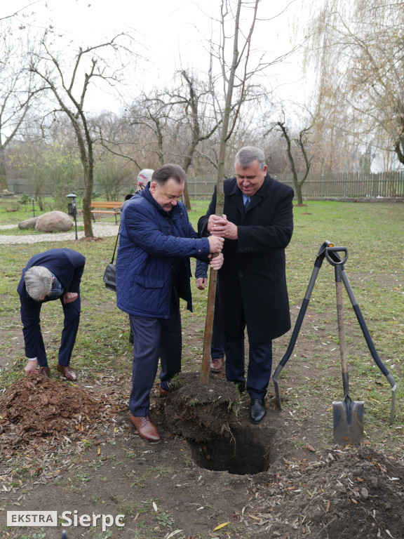 Modernizacja Muzeum Małego Miasta zakończona