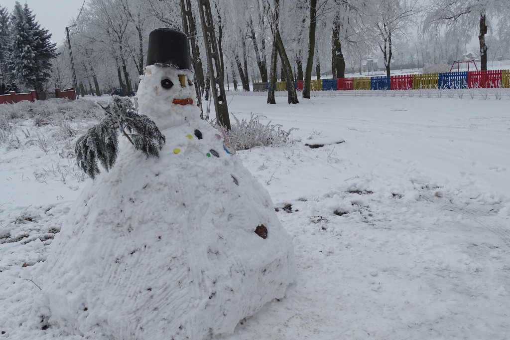 Śnieg, bałwan i kot