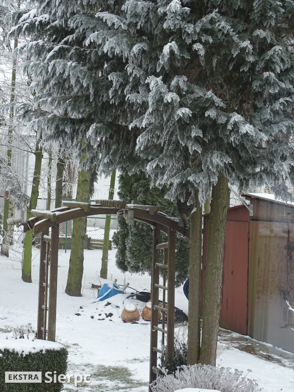 Śnieg, bałwan i kot