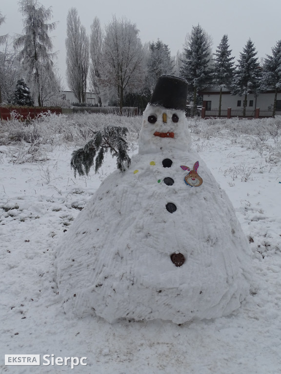 Śnieg, bałwan i kot