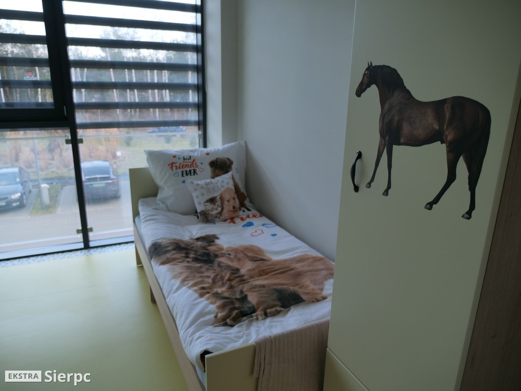 Regionalna placówka opiekuńczo-terapeutyczna
