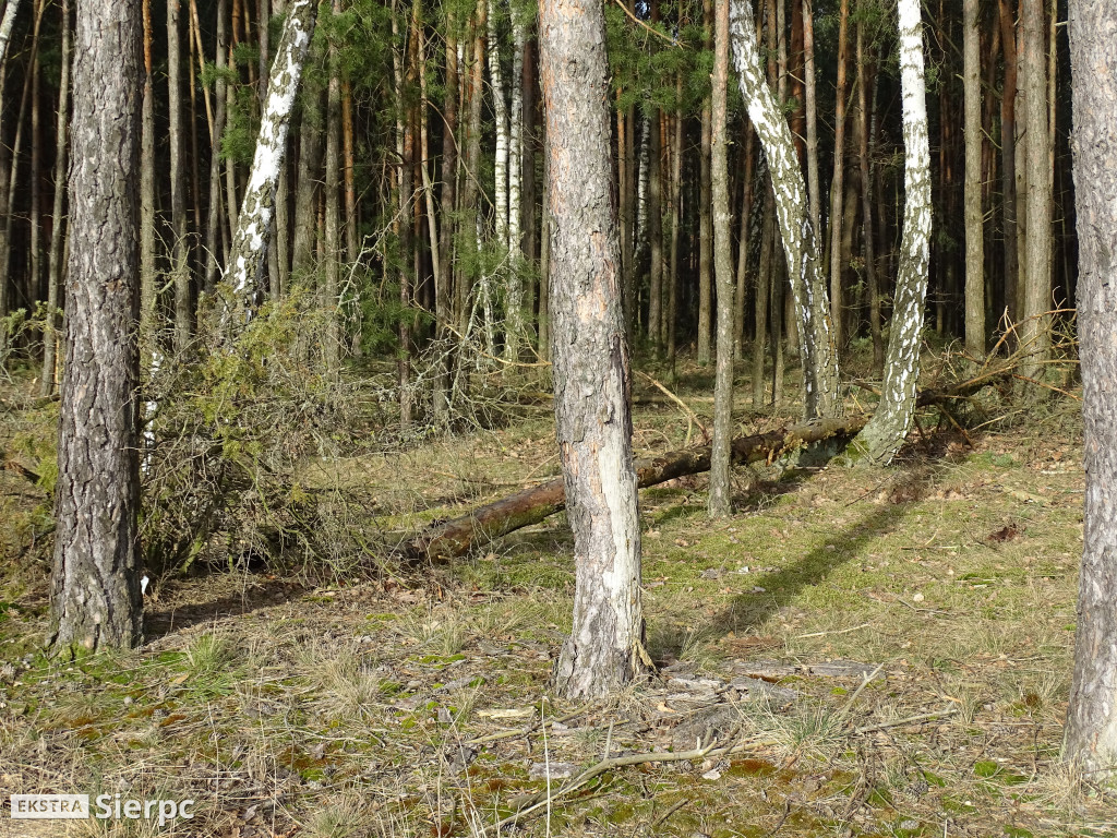 Nad Jeziorem Urszulewskim