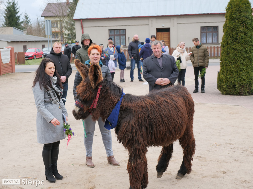 Niedziela Palmowa w Szczutowie