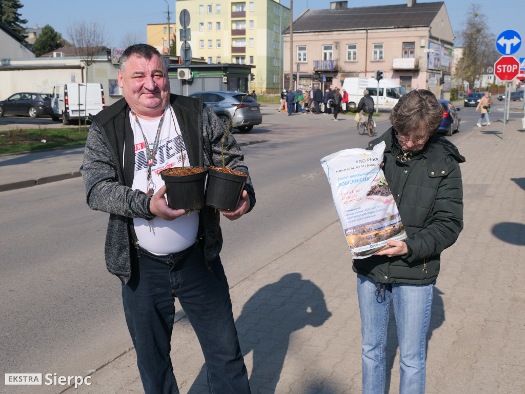 Sadzonki na Dzień Ziemi
