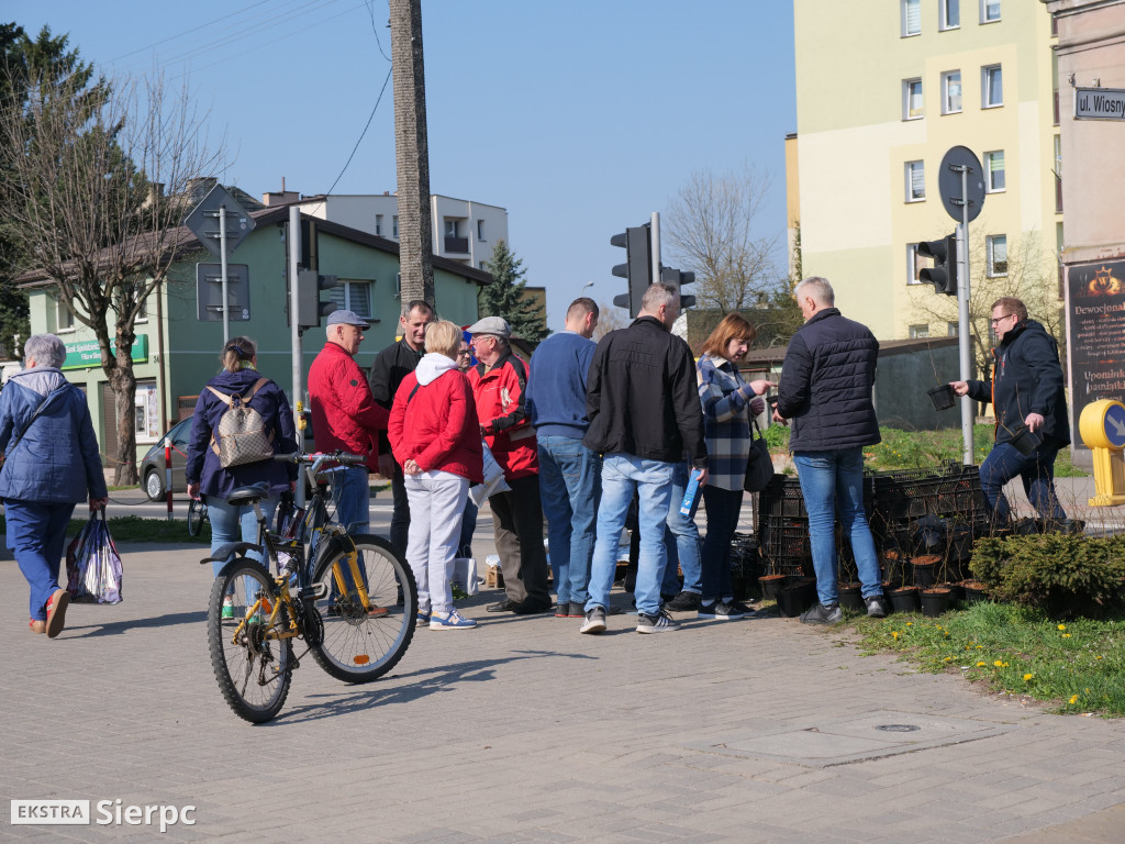 Sadzonki na Dzień Ziemi