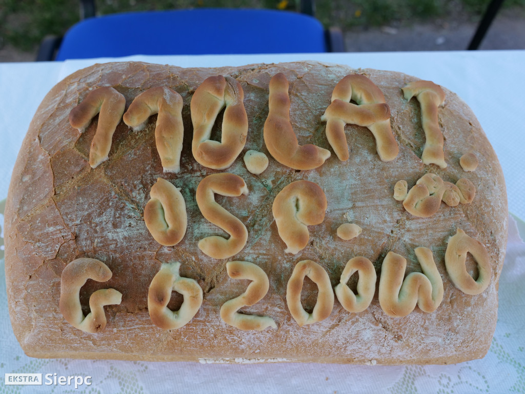 110 lat OSP Gozdowo