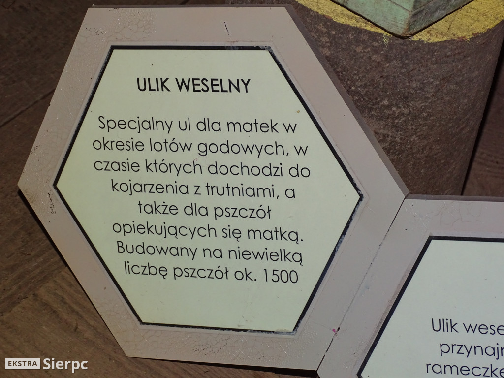 Miodobranie w skansenie